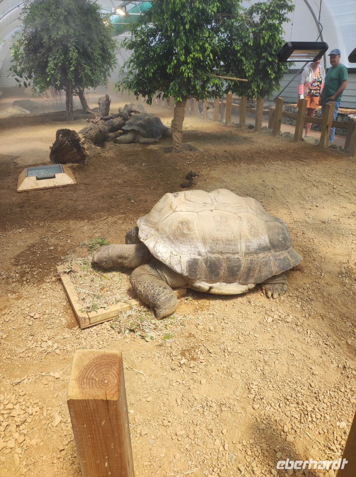 Jersey Zoo &ndash; &copy; Sten Bernhardt (Eberhardt TRAVEL)