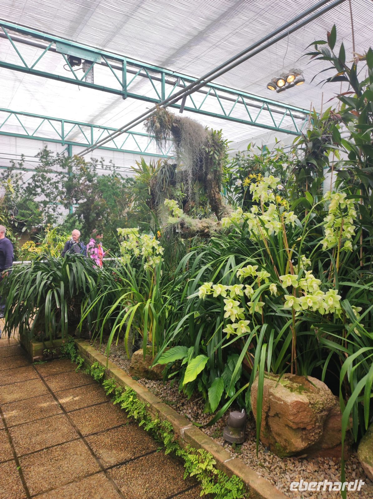 Eric Young Orchid Foundation &ndash; &copy; Sten Bernhardt (Eberhardt TRAVEL)
