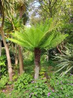 Privatgarten auf Jersey &ndash; &copy; Sten Bernhardt (Eberhardt TRAVEL)