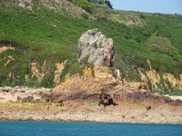 Jersey - Südküste &ndash; &copy; Hartwig Köllner (Eberhardt TRAVEL)