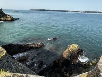 Elizabeth Castle &ndash; &copy; Anne Fohlert (Eberhardt TRAVEL)