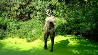 Nur 20 Minuten von der Weinkellerei entfernt steht diese Teufelsfigur auf einem Teich.