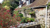 Überall auf Sark entdecken wir hübsche Cottages mit Blumengärten davor.