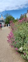 Spaziergang durch den Ort &ndash; &copy; Barbara Pflicke (Eberhardt TRAVEL)