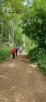 schmale Straße - kein Auto erlaubt auf Sark &ndash; &copy; Barbara Pflicke (Eberhardt TRAVEL)