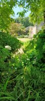 Garten &ndash; &copy; Barbara Pflicke (Eberhardt TRAVEL)