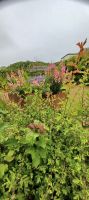 im Botanischen Garten Samares Manor &ndash; &copy; Barbara Pflicke (Eberhardt TRAVEL)