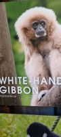 im Zoo &ndash; &copy; Barbara Pflicke (Eberhardt TRAVEL)