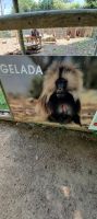 im Zoo &ndash; &copy; Barbara Pflicke (Eberhardt TRAVEL)