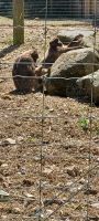 im Zoo &ndash; &copy; Barbara Pflicke (Eberhardt TRAVEL)
