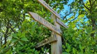 056 Wanderwege auf der Insel Sark &ndash; &copy; Kristin Weigel (Eberhardt TRAVEL)