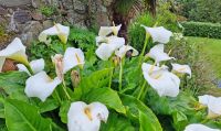 093 Coronation Park in St Lawrence &ndash; &copy; Kristin Weigel (Eberhardt TRAVEL)