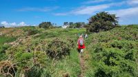 168 Wanderung an der Südküste von Jersey