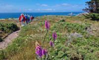 173 Wanderung an der Südküste von Jersey &ndash; &copy; Kristin Weigel (Eberhardt TRAVEL)
