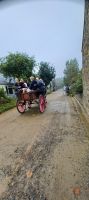 nur Traktoren und Pferdekutschen im Ort &ndash; &copy; Barbara Pflicke (Eberhardt TRAVEL)