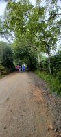 herrliche Natur auf Sark &ndash; &copy; Barbara Pflicke (Eberhardt TRAVEL)