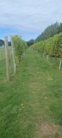Weingut La Mare &ndash; &copy; Barbara Pflicke (Eberhardt TRAVEL)
