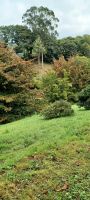 Gartentour