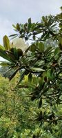 Gartentour &ndash; &copy; Barbara Pflicke (Eberhardt TRAVEL)