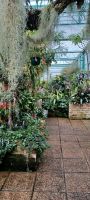 Orchid Foundation &ndash; &copy; Barbara Pflicke (Eberhardt TRAVEL)