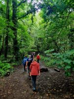 The Green lanes (5) &ndash; &copy; Marcus Hasselhorst (Eberhardt TRAVEL)