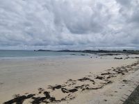 Pembroke Bay (8)