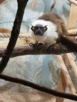 Wer bist den du? &ndash; &copy; Marta Rass (Eberhardt TRAVEL)