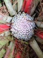 Die Malerei der Natur  &ndash; &copy; Marta Rass (Eberhardt TRAVEL)