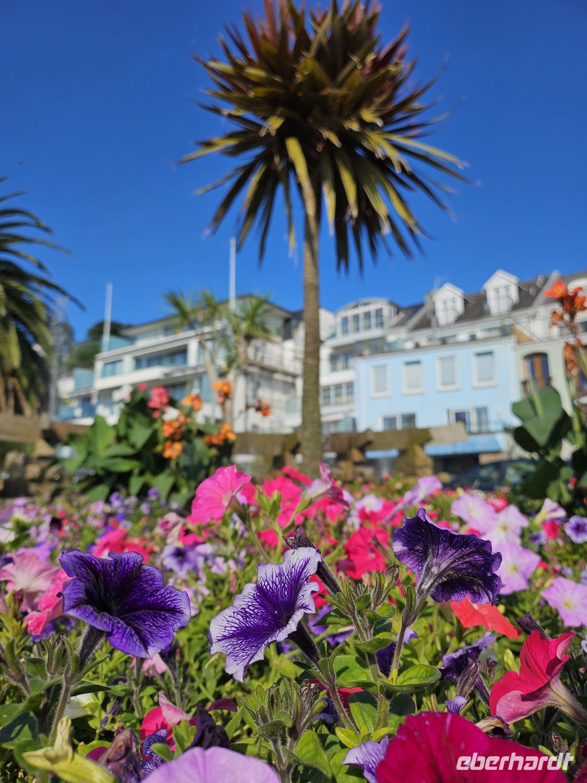 Gorey &ndash; &copy; Mariele Koeckeritz (Eberhardt TRAVEL)