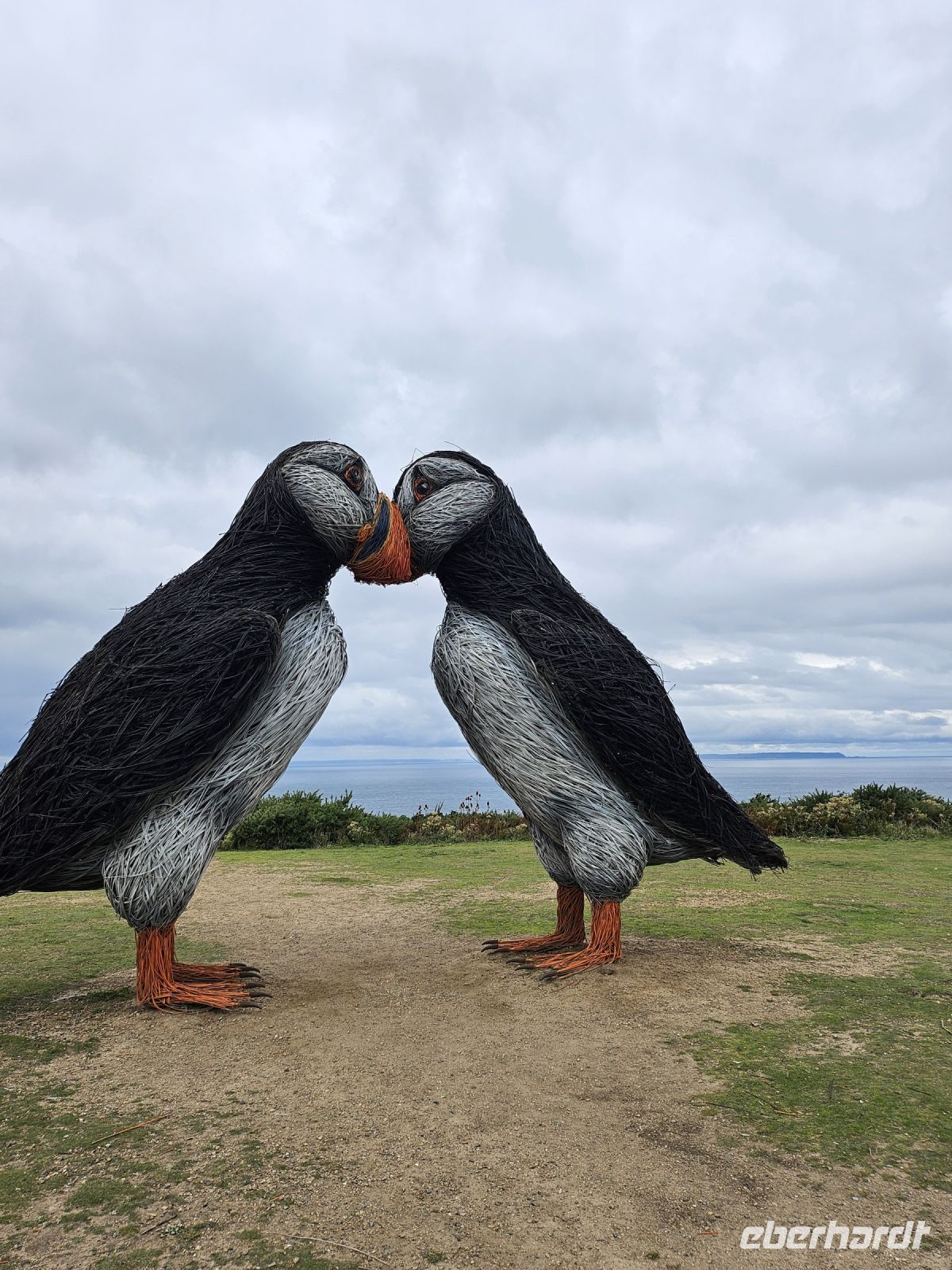 Puffins &ndash; &copy; Mariele Koeckeritz (Eberhardt TRAVEL)