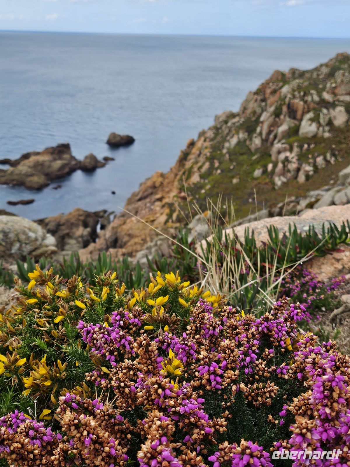 es blüht am Wegesrand &ndash; &copy; Mariele Koeckeritz (Eberhardt TRAVEL)