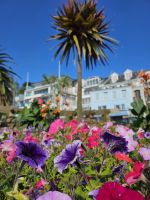 Gorey &ndash; &copy; Mariele Koeckeritz (Eberhardt TRAVEL)
