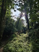 St. Cathrine Woods &ndash; &copy; Mariele Koeckeritz (Eberhardt TRAVEL)