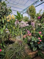 Orchid Fundation &ndash; &copy; Mariele Koeckeritz (Eberhardt TRAVEL)