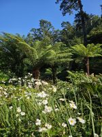 Tal auf Jersey &ndash; &copy; Mariele Koeckeritz (Eberhardt TRAVEL)