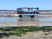 Bushaltestelle  &ndash; &copy; Heike Jack (Eberhardt TRAVEL)