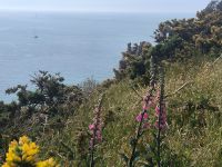 Südküste Jersey  &ndash; &copy; Heike Jack (Eberhardt TRAVEL)