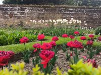 Richards Garden &ndash; &copy; Heike Jack (Eberhardt TRAVEL)