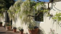 Domaine des Vaux Privatgarten - Jersey &ndash; &copy; Ronja Wagner (Eberhardt TRAVEL)