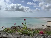 25.05.2025:  Mount Orgueil Castle in Gorey &ndash; &copy; Anne Fohlert (Eberhardt TRAVEL)
