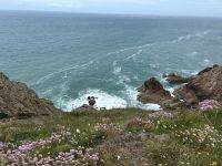 26.06.2025 Inselrundfahrt auf Jersey &ndash; &copy; Anne Fohlert (Eberhardt TRAVEL)