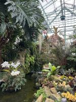 28.05.2025 Eric Young Orchid Foundation &ndash; &copy; Anne Fohlert (Eberhardt TRAVEL)