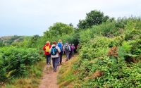 Wanderung an der Südküste von Jersey