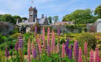 Besuch der Gärten La Seigneurie auf der Insel Sark &ndash; &copy; Kristin Weigel (Eberhardt TRAVEL)