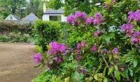 Candie Gardens in St. Peter Port auf Guernsey