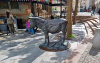 Esel-Statue in St. Peter Port