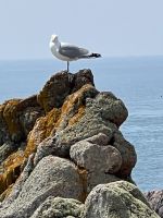 IMG 9213 &ndash; &copy; Philipp Schmitz (Eberhardt TRAVEL)