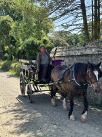 Kutschfahrt auf Sark &ndash; &copy; Philipp Schmitz (Eberhardt TRAVEL)
