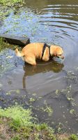 Wanderwege unter Wasser