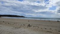 Jersey- in der Bucht von St. Aubin (2).jpg &ndash; &copy; Steffi Lambrecht (Eberhardt TRAVEL)